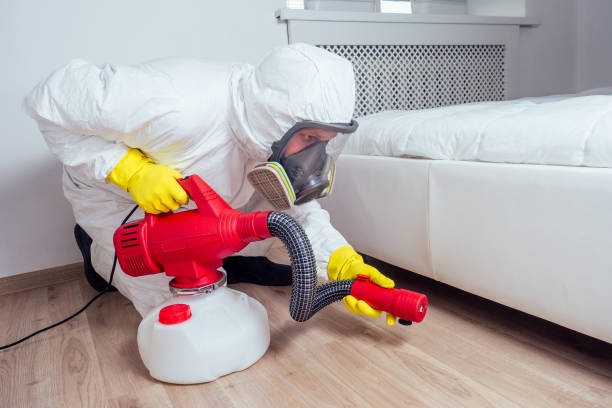 Best Pest Inspection Near Me  in Haynesville, LA