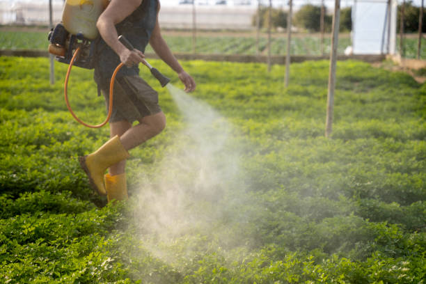 Best Residential Pest Control  in Haynesville, LA