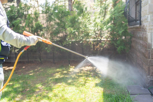 Best Commercial Pest Control Services  in Haynesville, LA