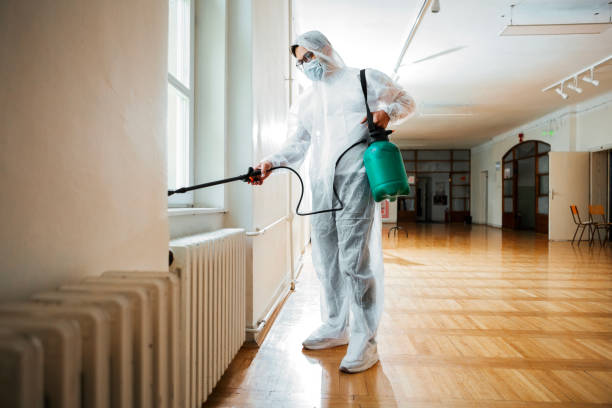 Best Best Pest Control Companies  in Haynesville, LA