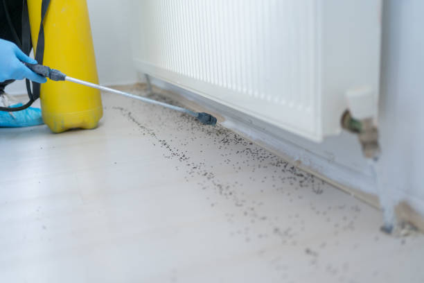 Pest Control for Restaurants in Haynesville, LA
