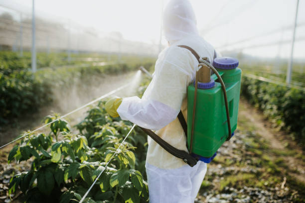 Best Best Pest Control Companies  in Haynesville, LA